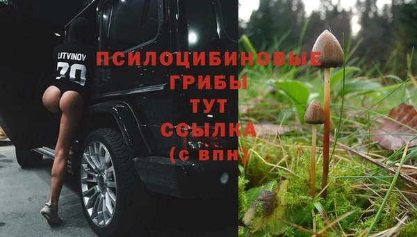 прущая мука Верхний Тагил