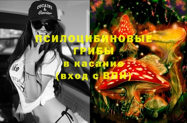 прущая мука Верхний Тагил