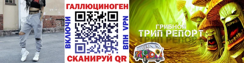 darknet как зайти  Вытегра  Галлюциногенные грибы Psilocybe  хочу  